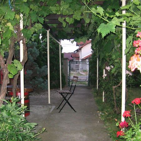 Kuca Za Odmor Jelena Apartment Kladovo Exterior photo