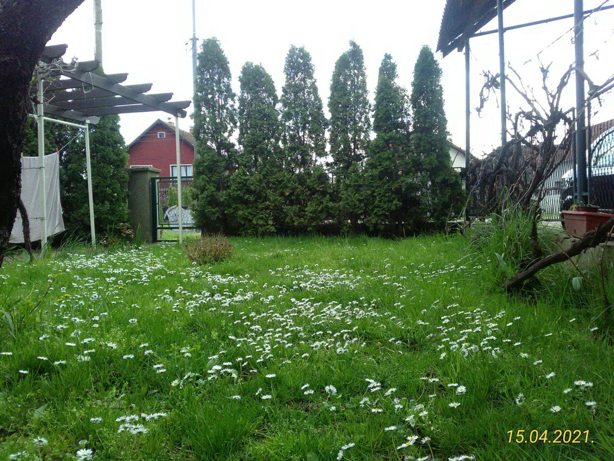 Kuca Za Odmor Jelena Apartment Kladovo Exterior photo